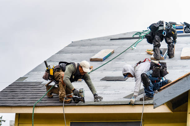 Professional Flat Roof Repair technician working in DeKalb, IL